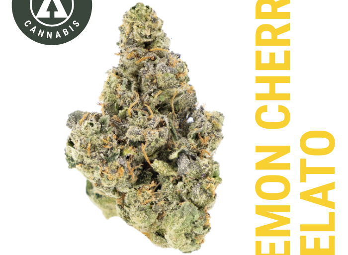 Lemon Cherry Gelato