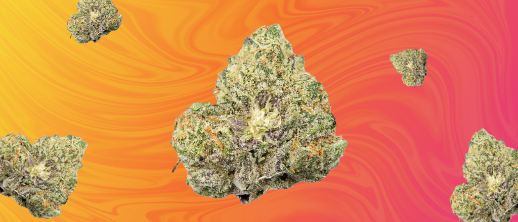 Strain Spotlight: Pineapple Burst